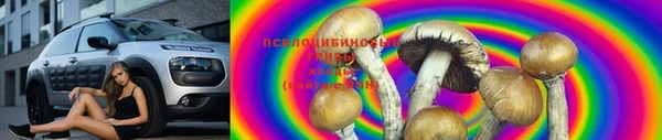 бошки Алексин