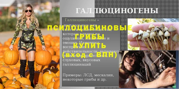 ALPHA-PVP Алексеевка