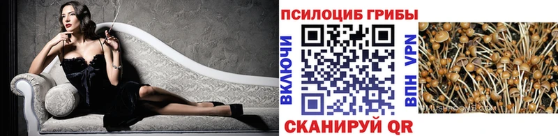 Псилоцибиновые грибы Magic Shrooms  где можно купить наркотик  Удачный 